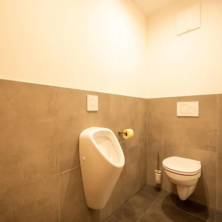 In Zell Am Near Slopes